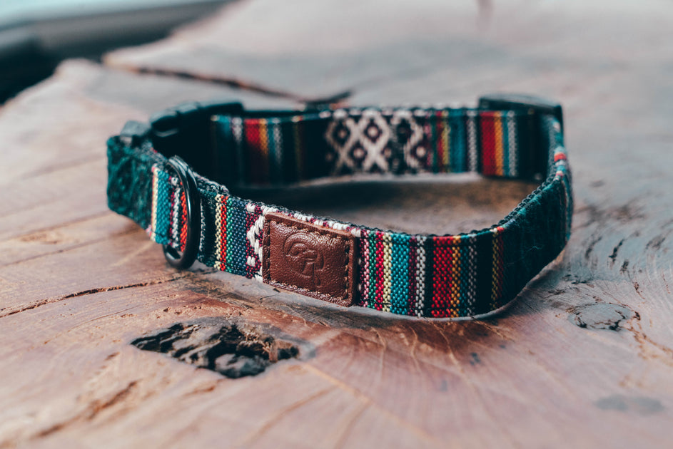 Everyday urban hotsell bark collar