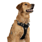 Adventure No Pull Dog Harness