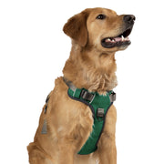 Adventure No Pull Dog Harness