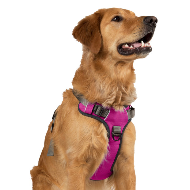 Adventure No Pull Dog Harness