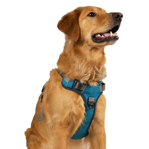 Adventure No Pull Dog Harness