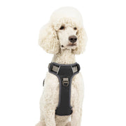 Adventure No Pull Dog Harness