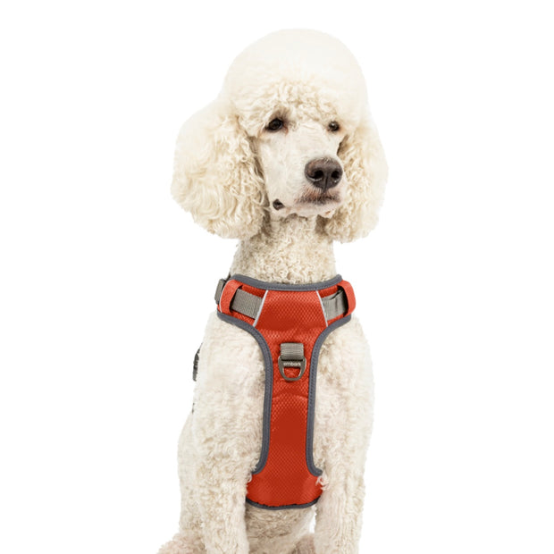 Embark pets adventure dog harness hotsell