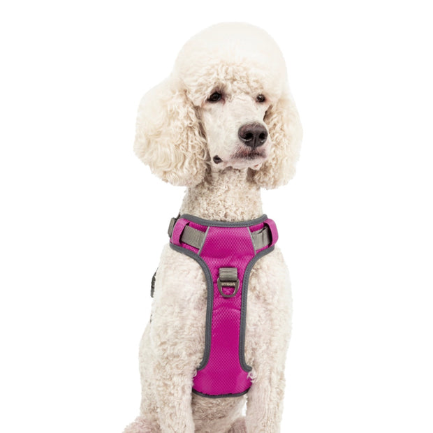 Kong no pull dog harness best sale