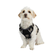 Adventure No Pull Dog Harness