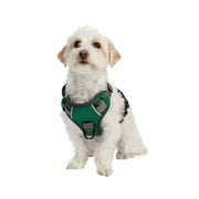 Adventure No Pull Dog Harness