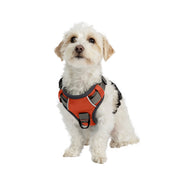 Adventure No Pull Dog Harness