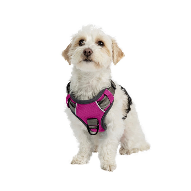 Adventure No Pull Dog Harness