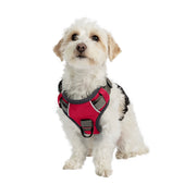 Adventure No Pull Dog Harness