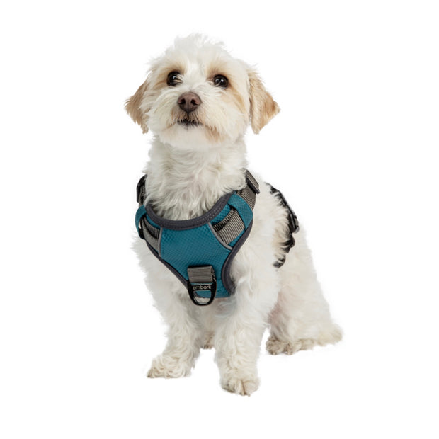 Adventure No Pull Dog Harness