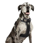 Adventure No Pull Dog Harness