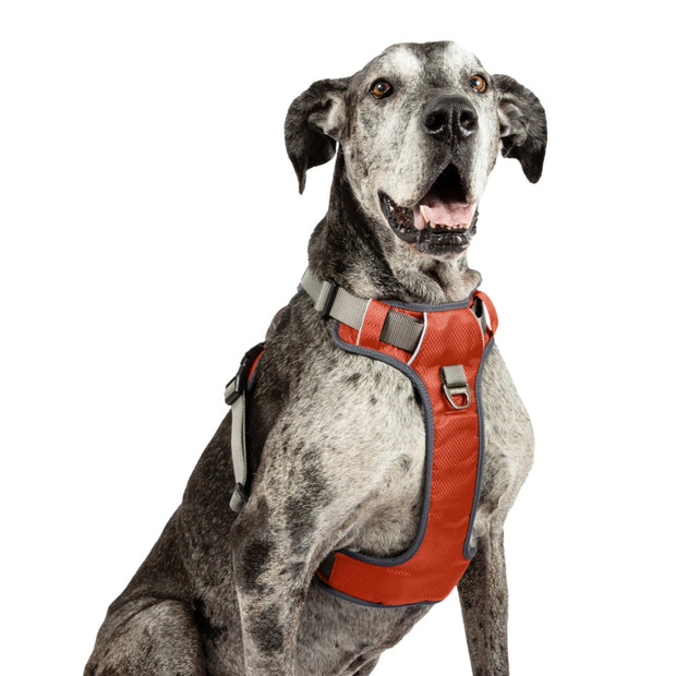 Adventure No Pull Dog Harness