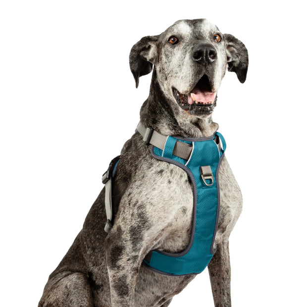 Shop Adventure Dog Harness Embark Pets Embark Pets UK