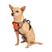 Adventure No Pull Dog Harness