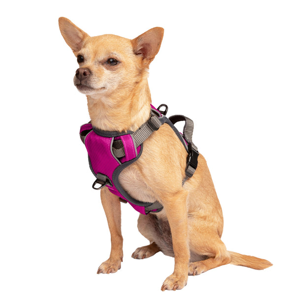 Adventure No Pull Dog Harness