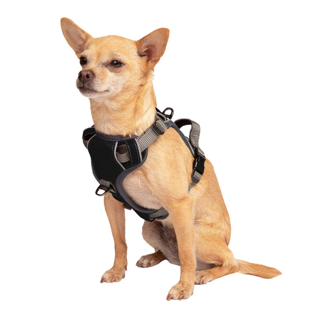 Adventure No Pull Dog Harness