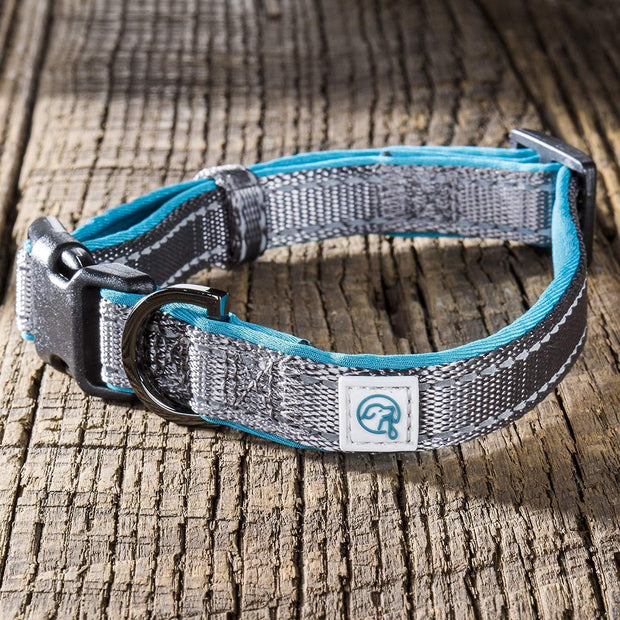 Adventure Neoprene Dog Collar